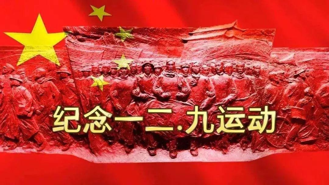 让动物飞一会
