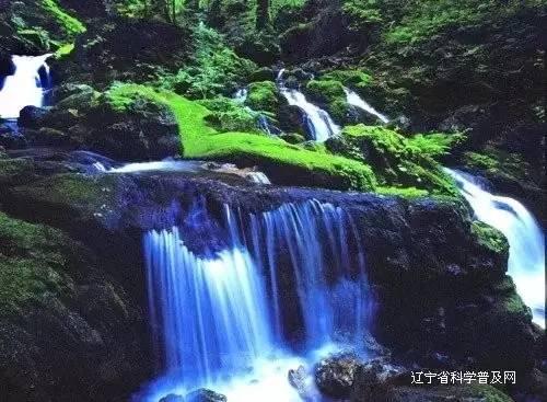 黄色小人推箱子