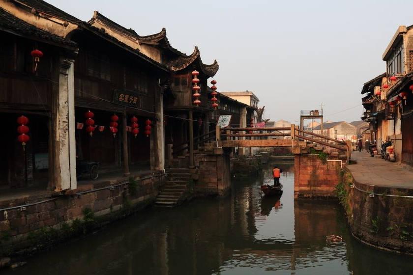 蜂王救援